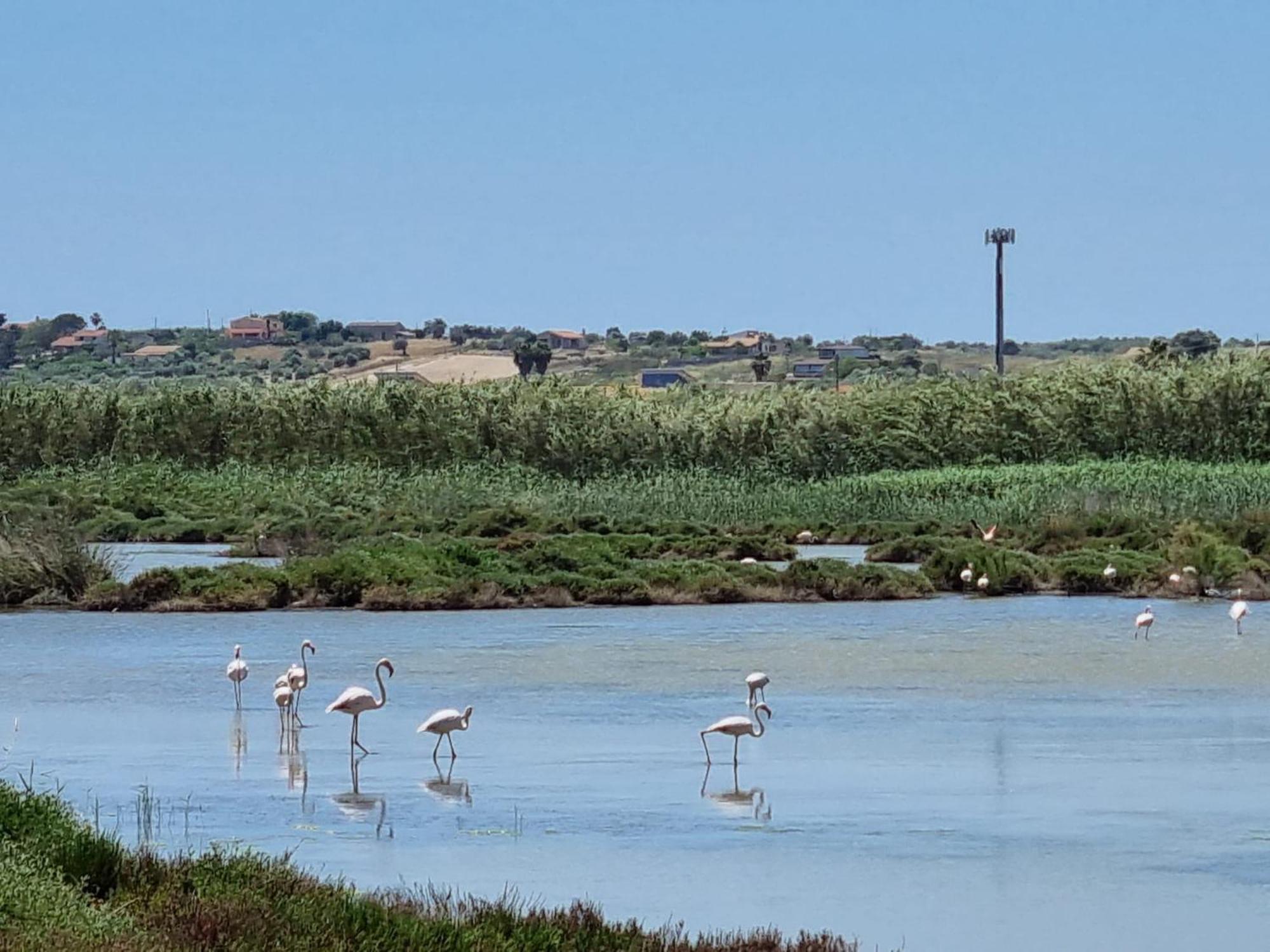 -Dimartino Home- Posizione Centrale 9 Min Da Marzamemi San Lorenzo Portopalo Di Capo Passero Pachino Zewnętrze zdjęcie